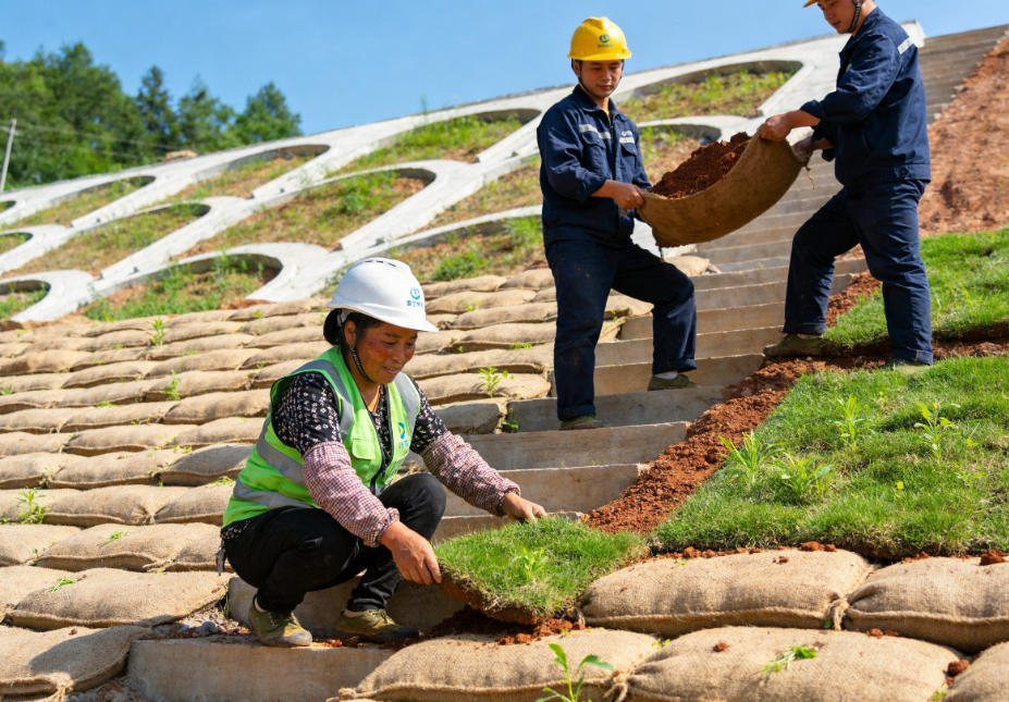 中堂镇植生袋护坡